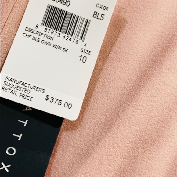 Aidan Mattox Lace blouson sleeveless Overlay chiffon long gown - Picture 14 of 14